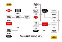 了解平台算法之后抖音运营so easy!